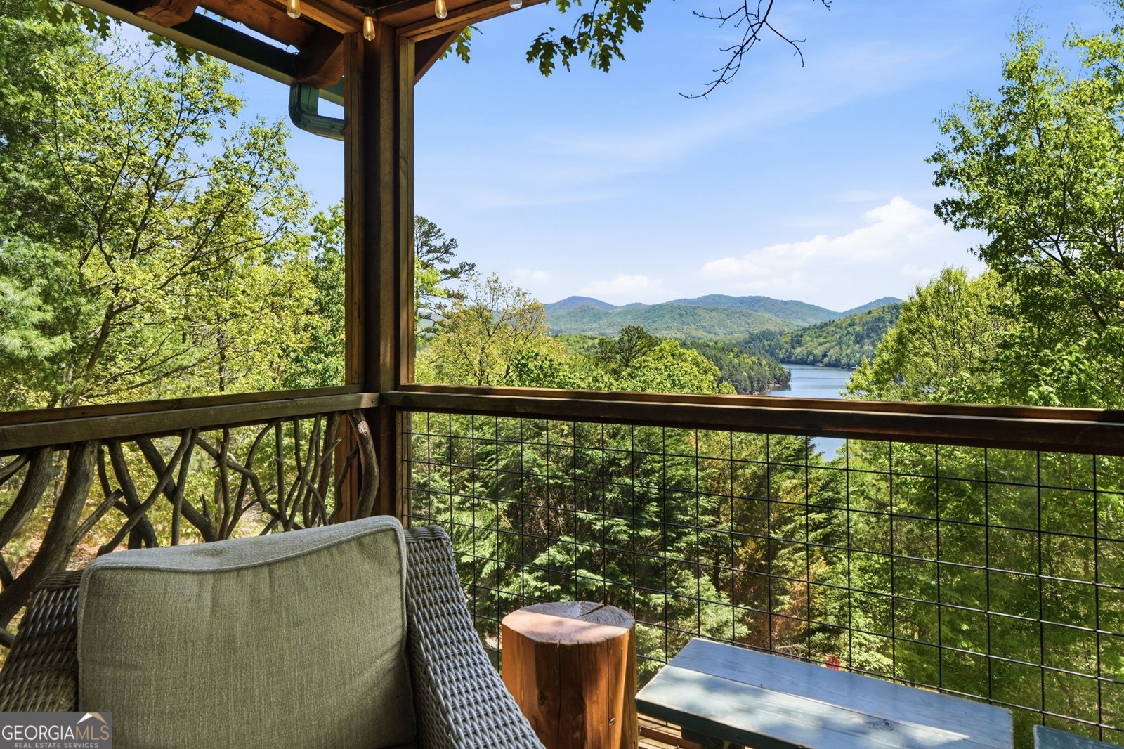 287 Necowa Cove Overlook Blue Ridge - Photo 35