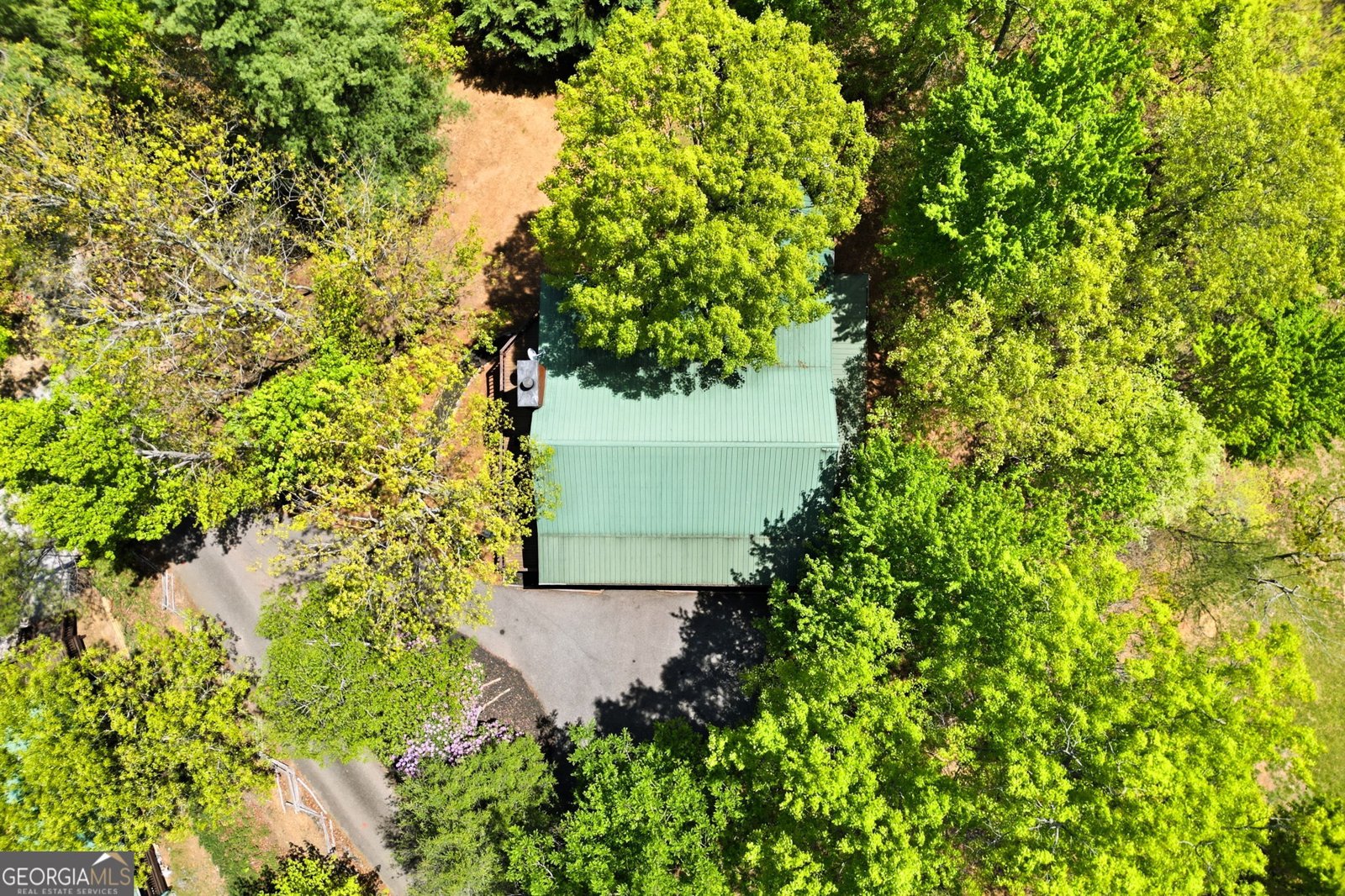 287 Necowa Cove Overlook Blue Ridge - Photo 41