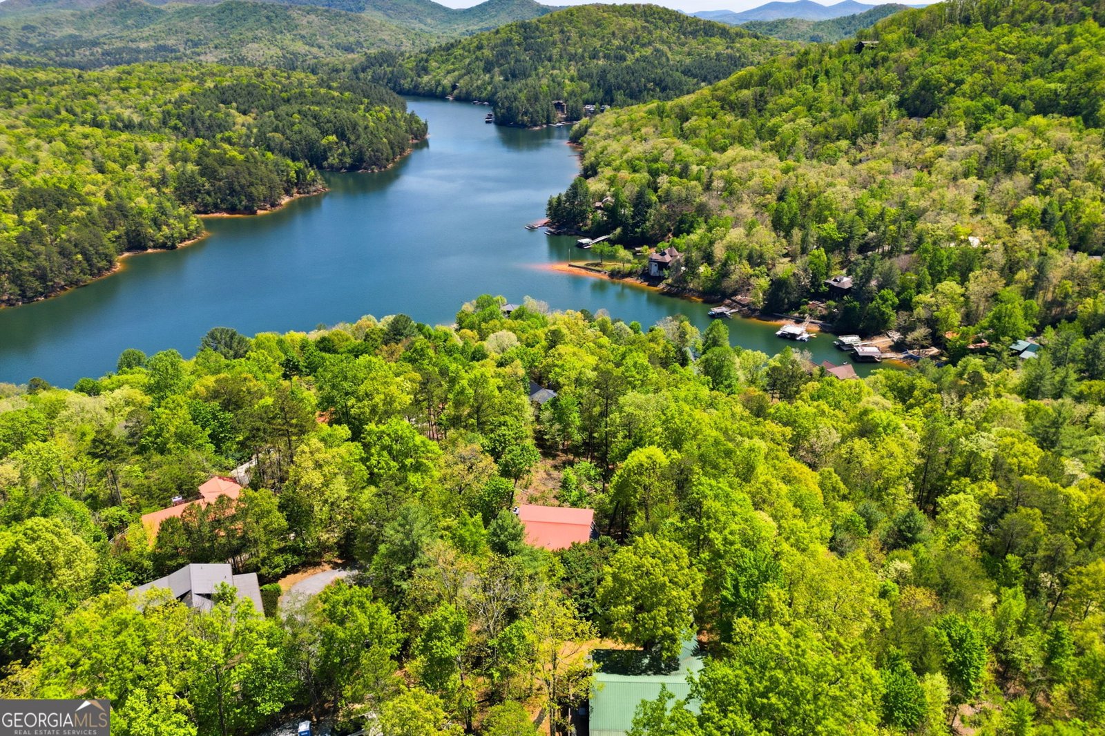 287 Necowa Cove Overlook Blue Ridge - Photo 42