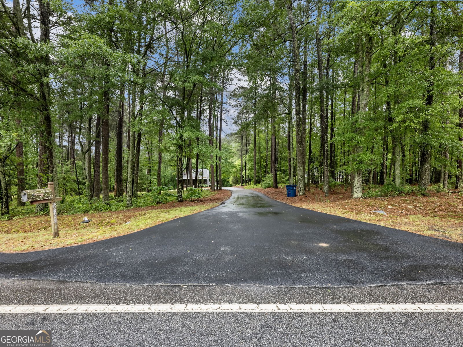 2885 Callie Still Road Lawrenceville - Photo 40