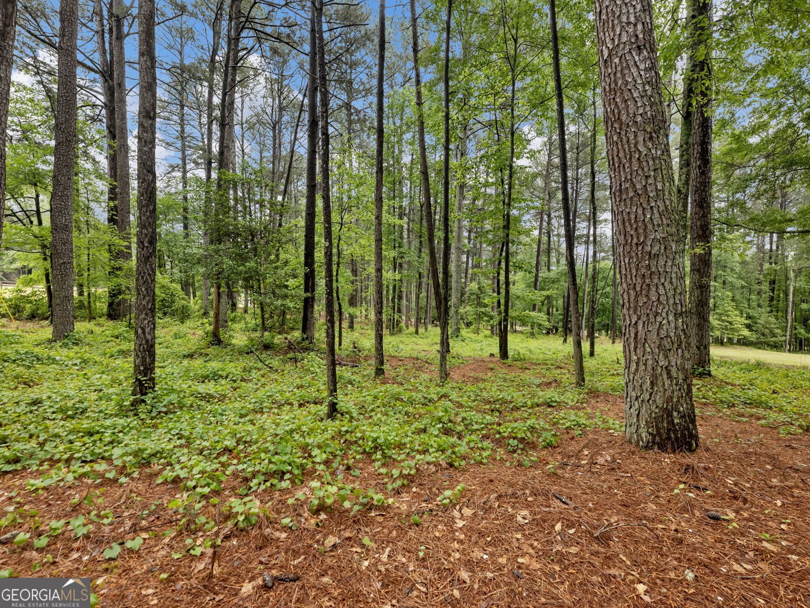 2885 Callie Still Road Lawrenceville - Photo 41