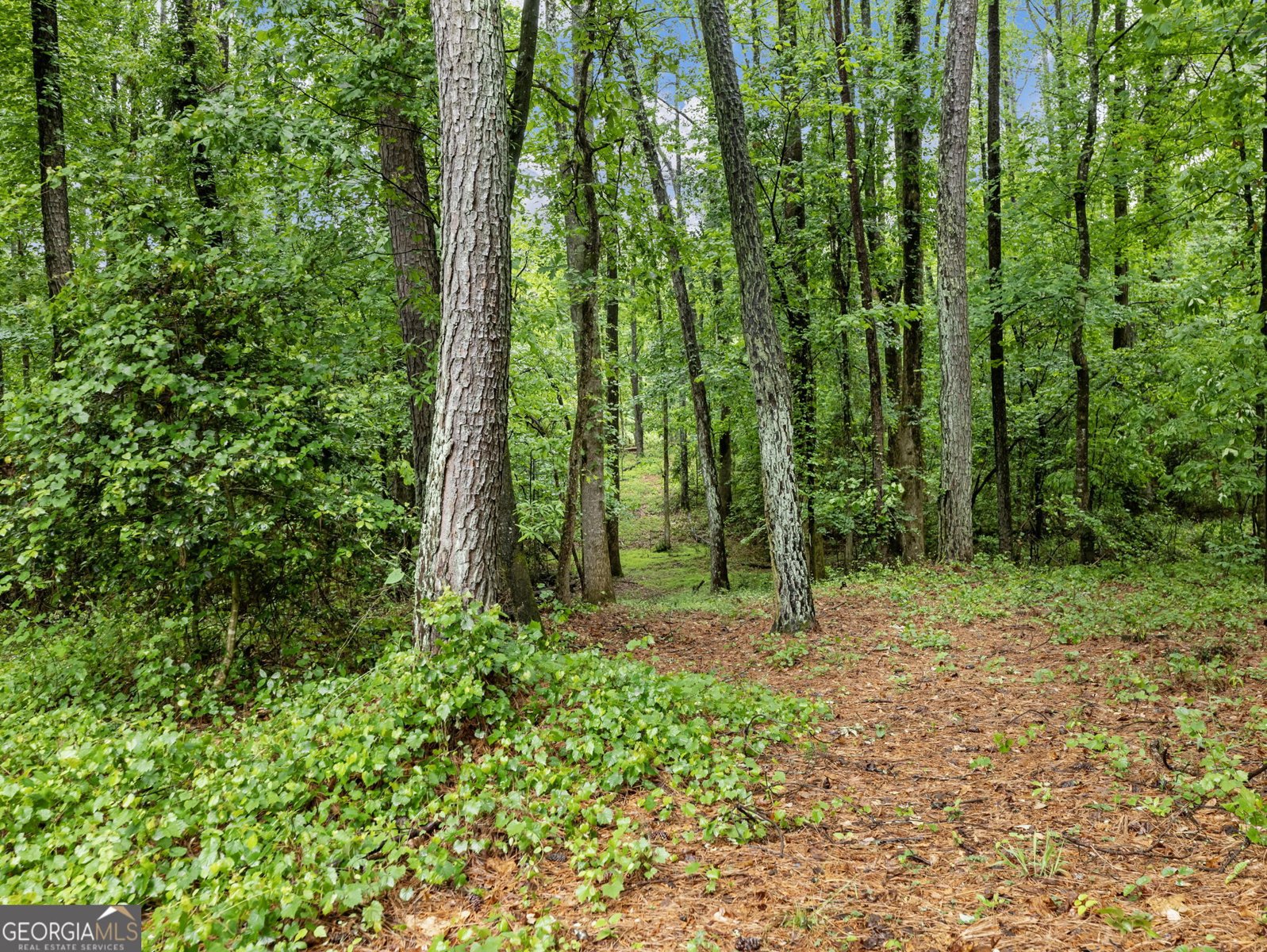 2885 Callie Still Road Lawrenceville - Photo 50