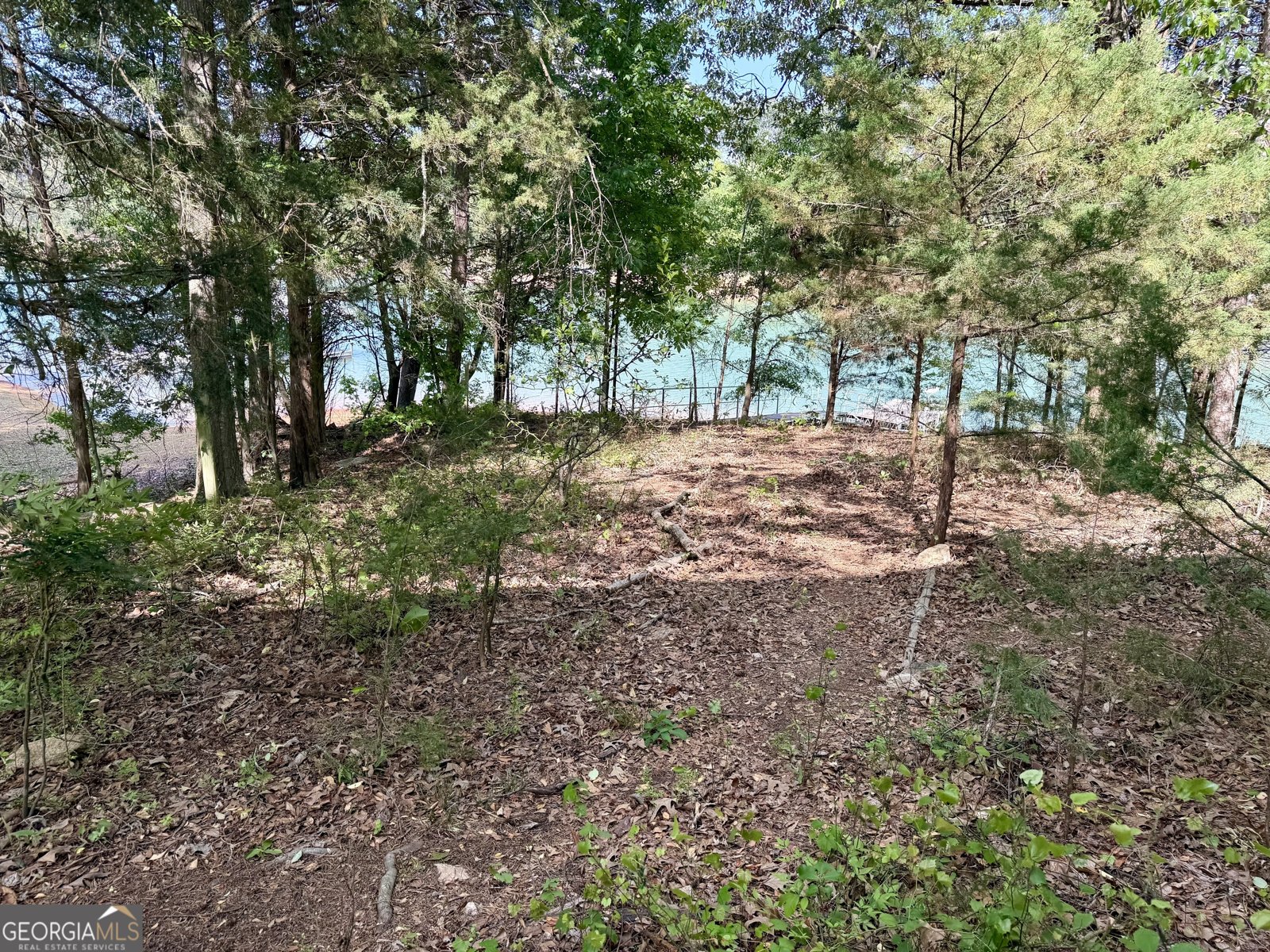 27 Classic Drive Hartwell - Photo 13
