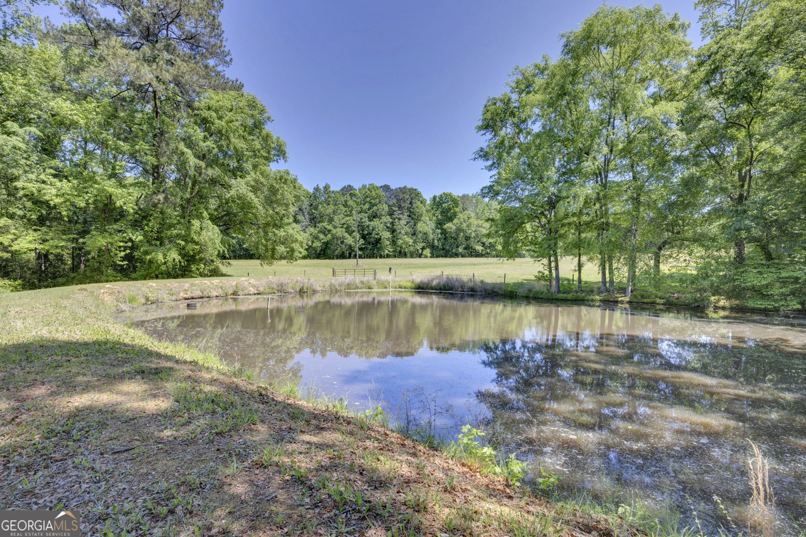 1806 Ga Highway 142 Shady Dale - Photo 44