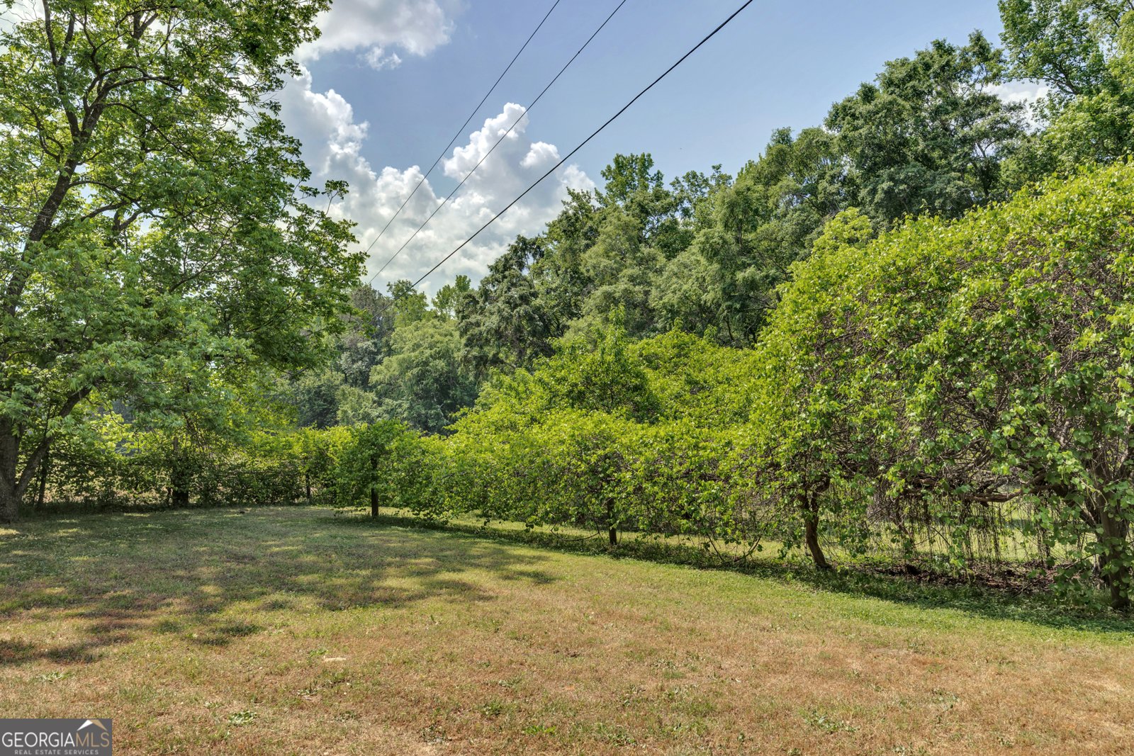 1806 Ga Highway 142 Shady Dale - Photo 49