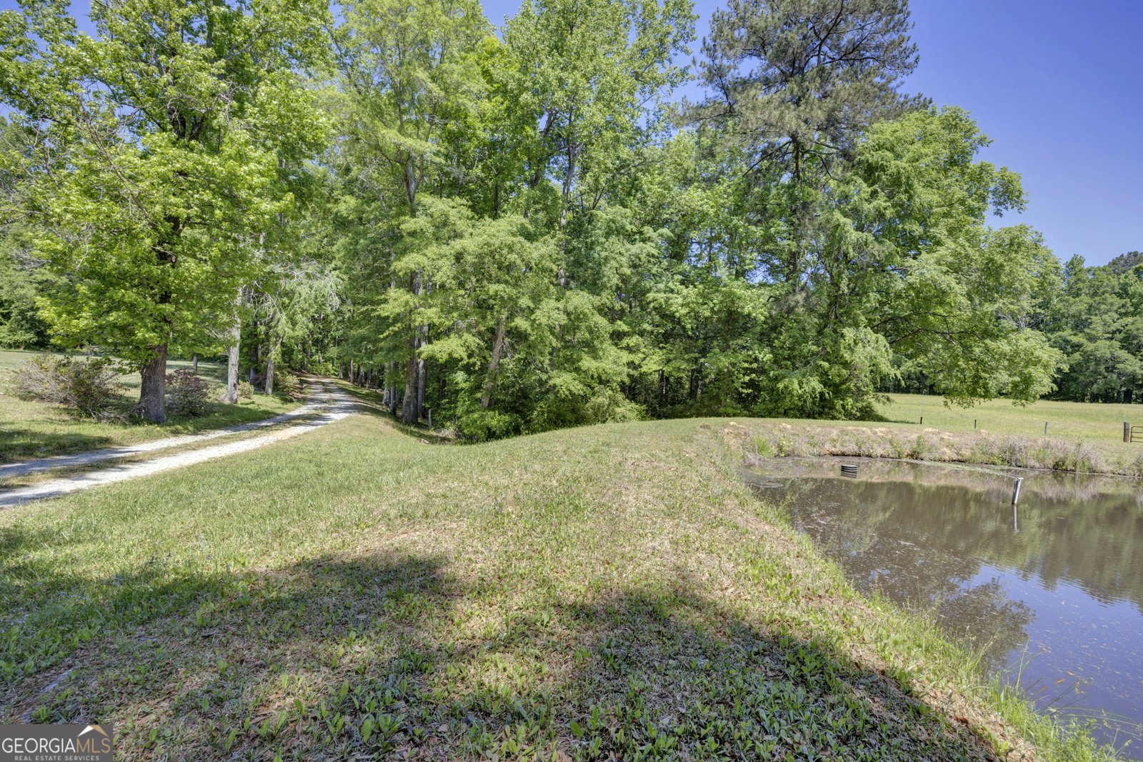 1806 Ga Highway 142 Shady Dale - Photo 50