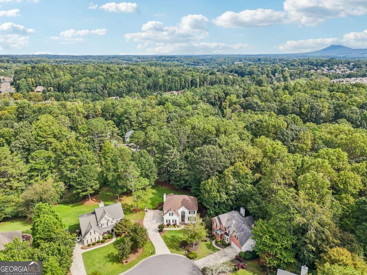 6150 Ivey Springs Chase Cumming - Photo 74