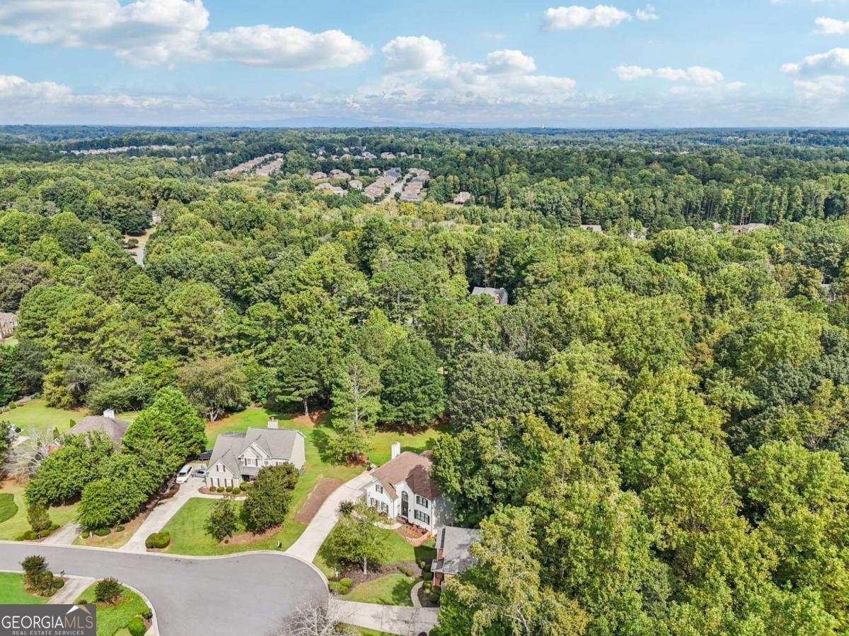 6150 Ivey Springs Chase Cumming - Photo 76