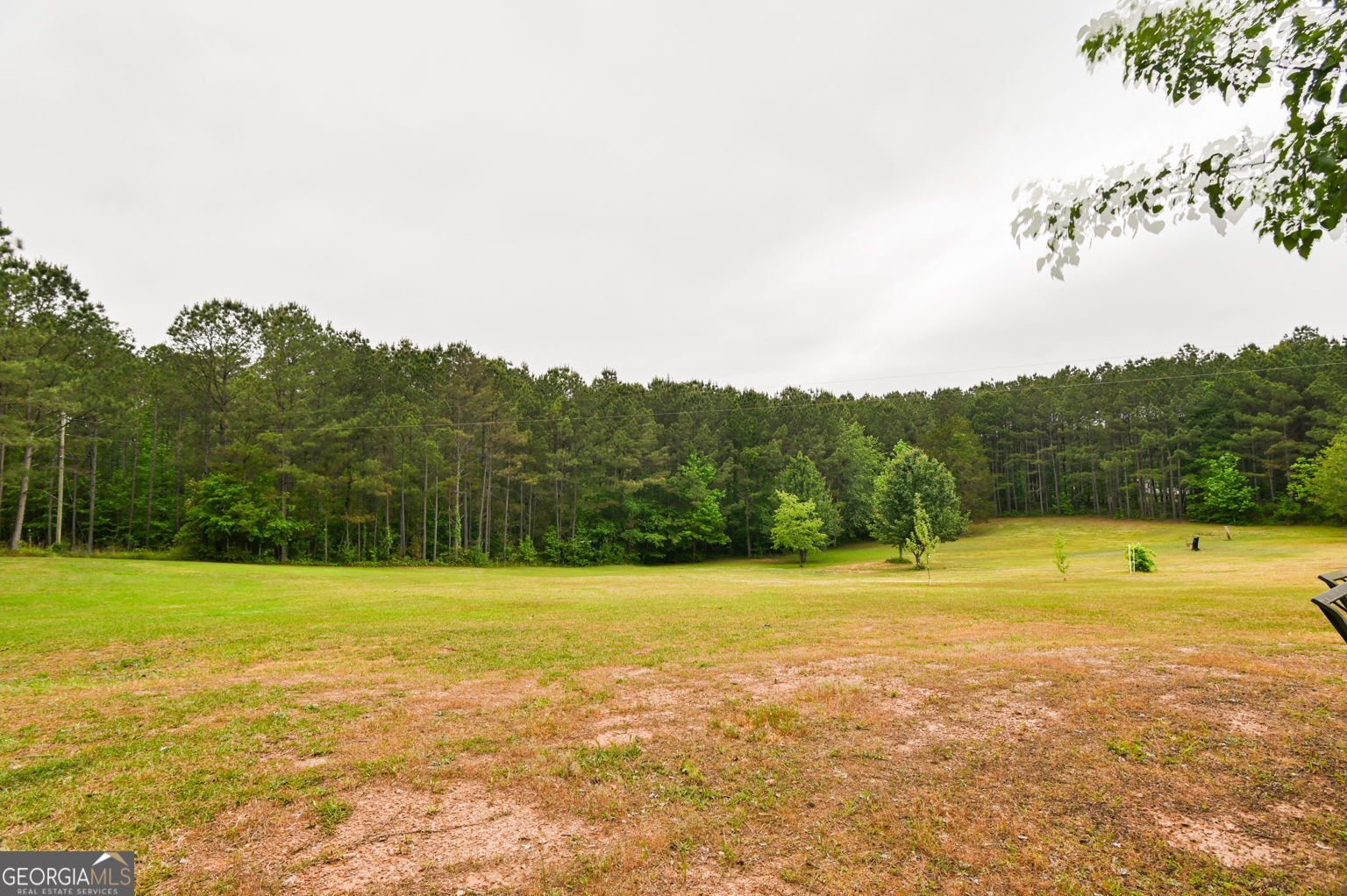 298 Millard Farmer Road Newnan - Photo 38