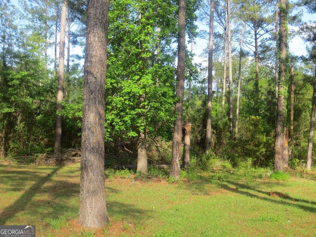 445 Southside Drive Lyons - Photo 22
