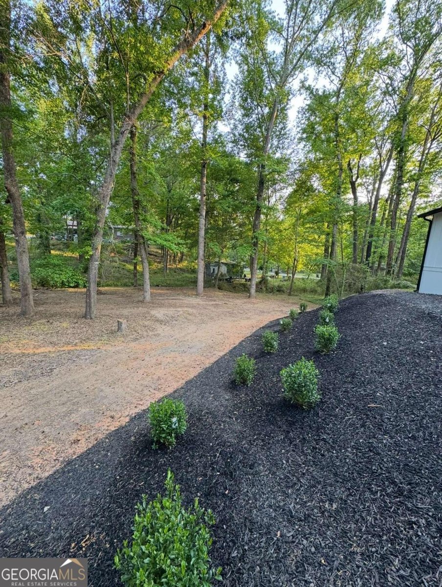 2363 Hi Roc Circle Conyers - Photo 39