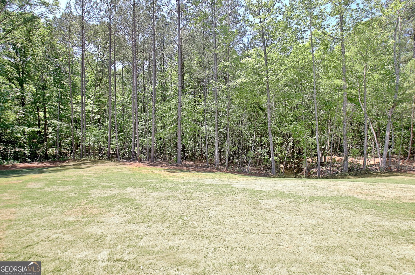 600 Eastside School Road Senoia - Photo 91