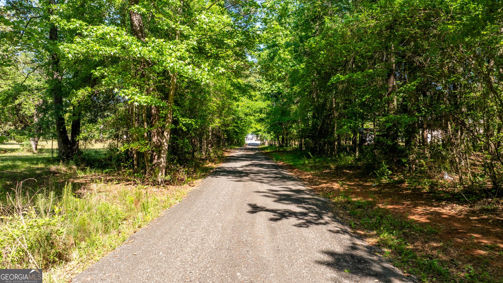 600 Eastside School Road Senoia - Photo 93
