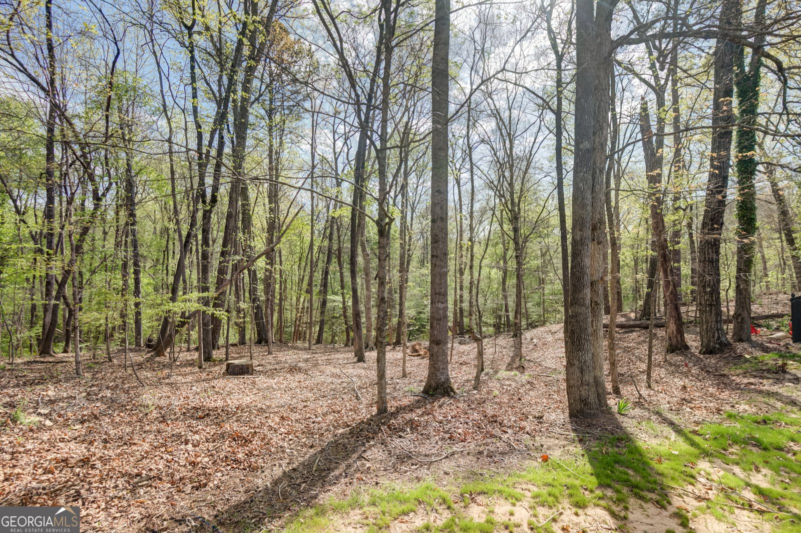 310 Rock Hill Dr Fayetteville - Photo 42