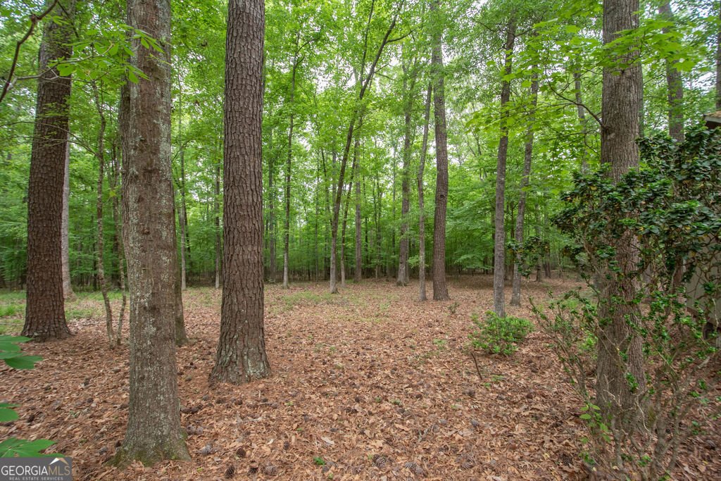 215 Nix Court Fayetteville - Photo 45