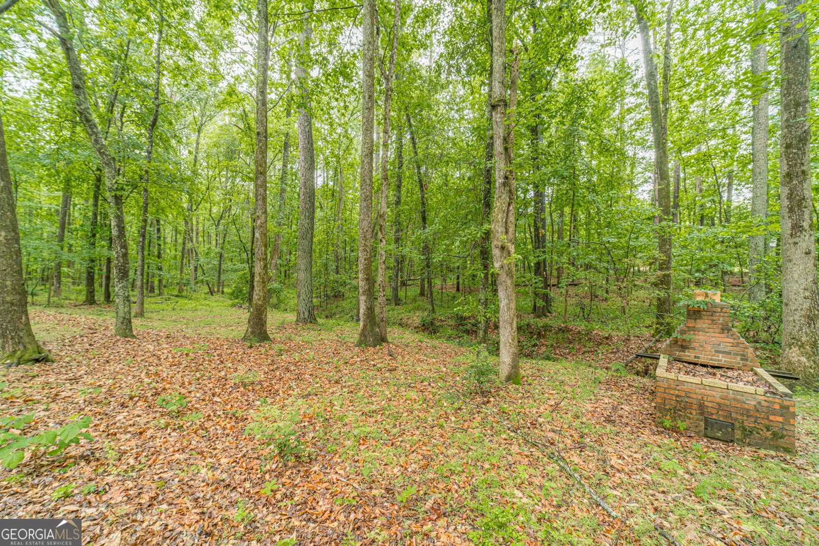 3661 Pennington Drive Conyers - Photo 31