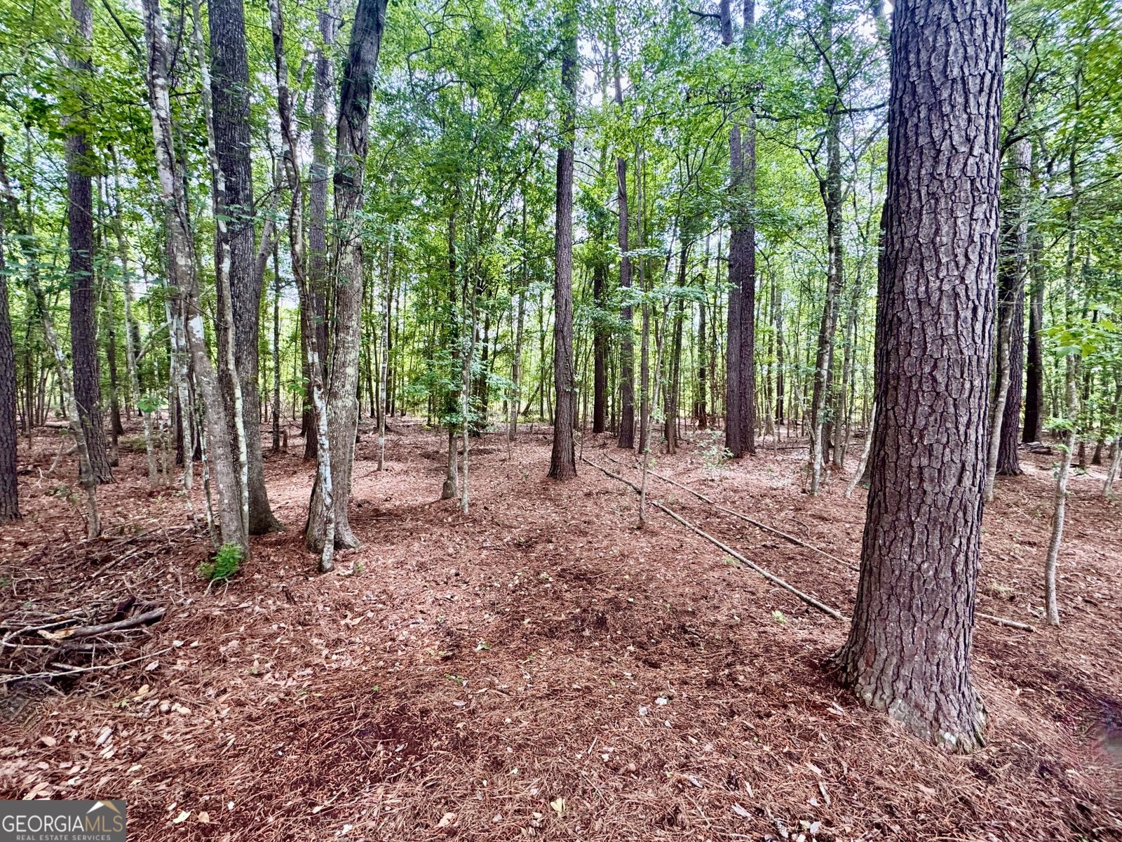 115 Royal Lane Pooler - Photo 61