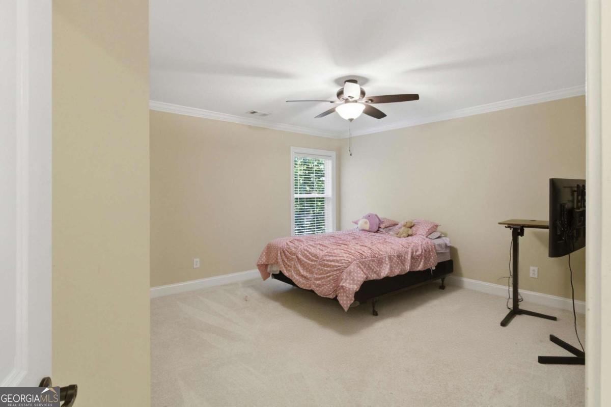 2572 Carnot Court Duluth - Photo 52