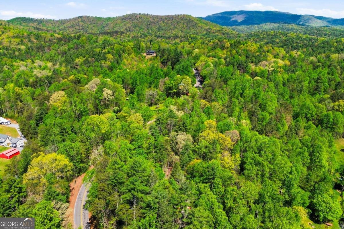 10758 Chatsworth Highway Ellijay - Photo 38