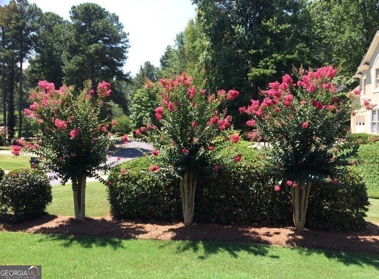 11210 Surrey Park Trail Johns Creek - Photo 30