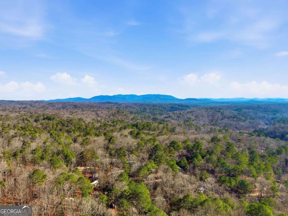 1883 Newport Drive Ellijay - Photo 27