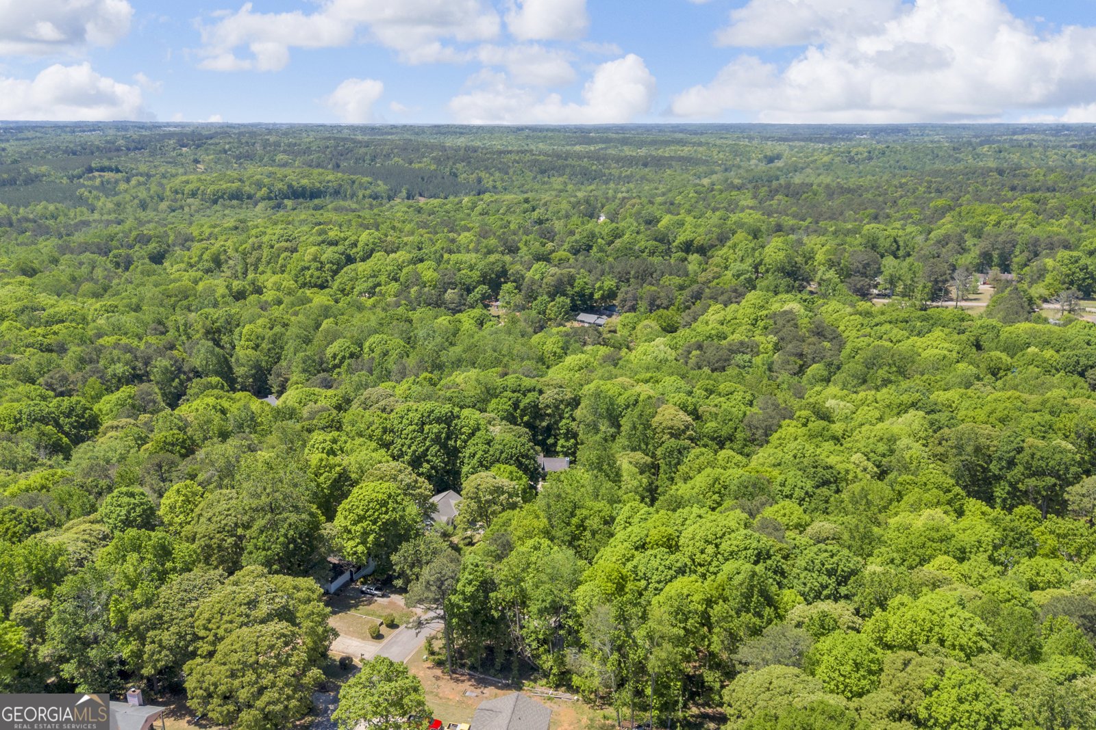 1312 Stonemont Road Auburn - Photo 39