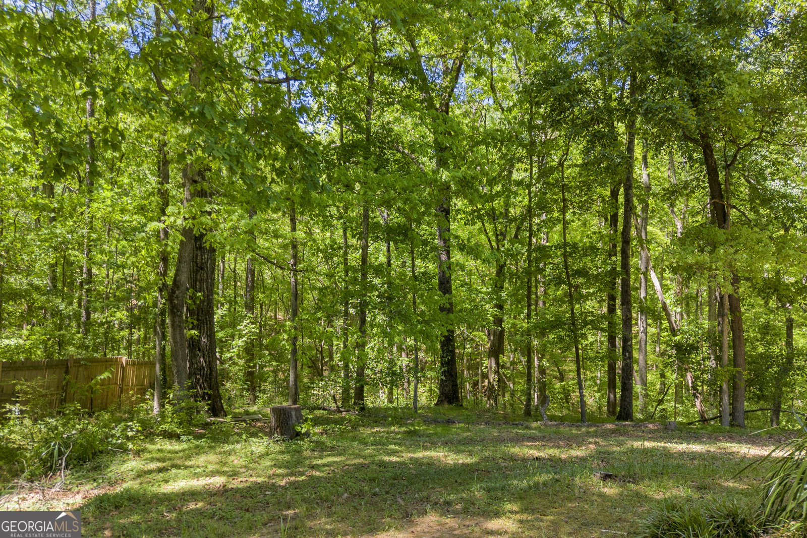 1312 Stonemont Road Auburn - Photo 46