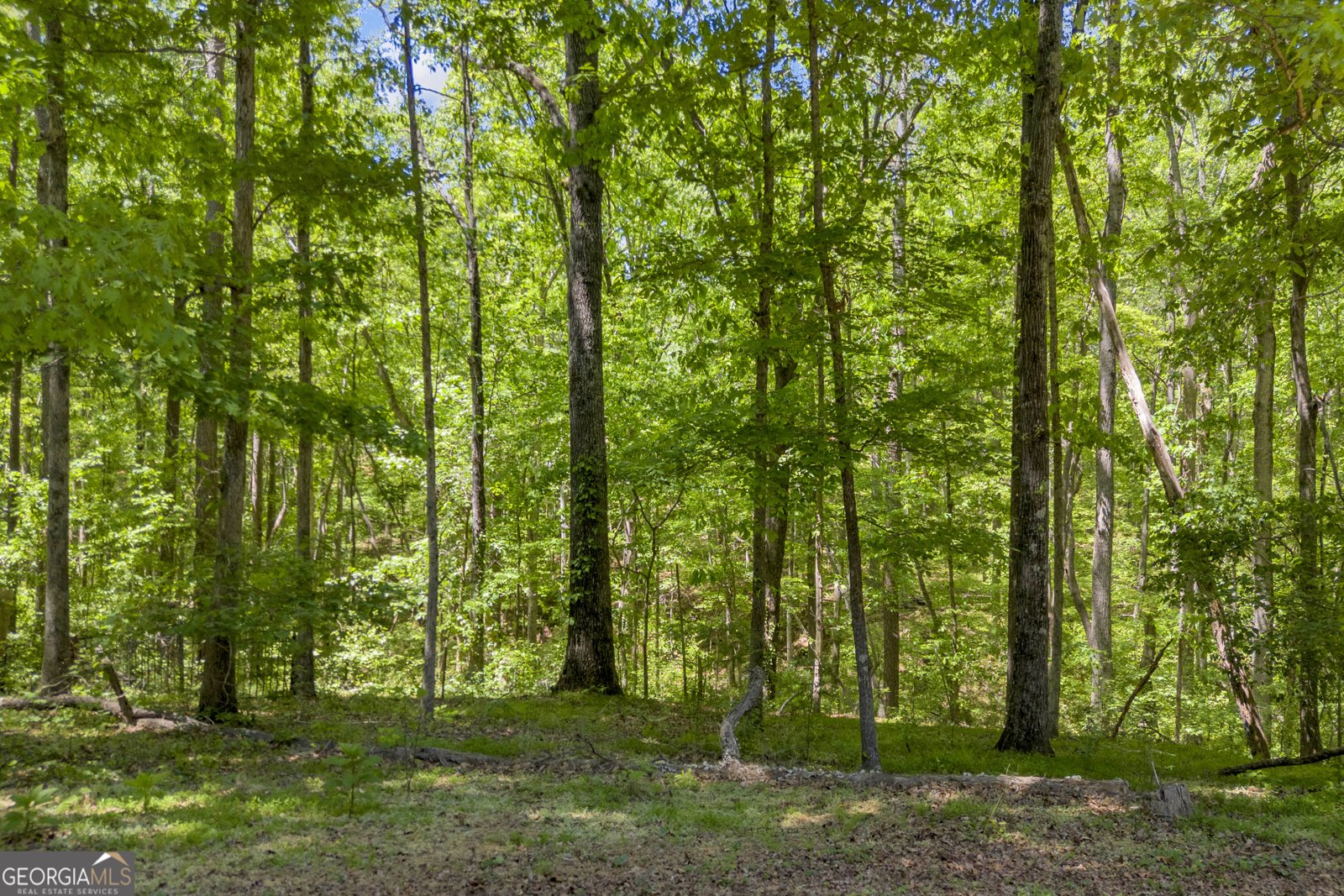 1312 Stonemont Road Auburn - Photo 49