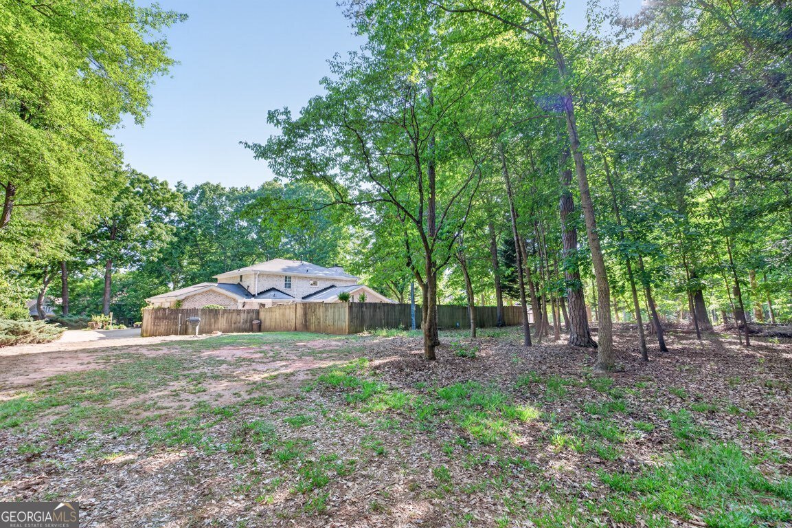 205 Allie Drive Mcdonough - Photo 58