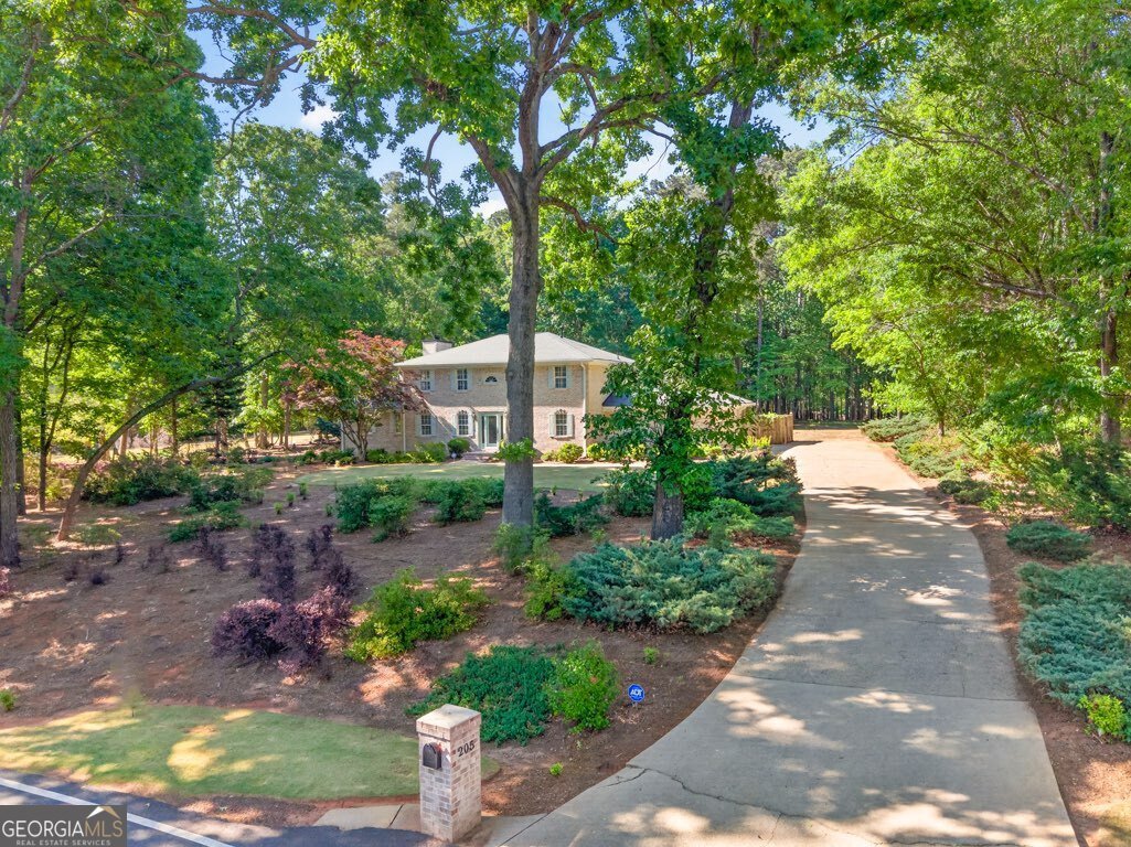 205 Allie Drive Mcdonough - Photo 70