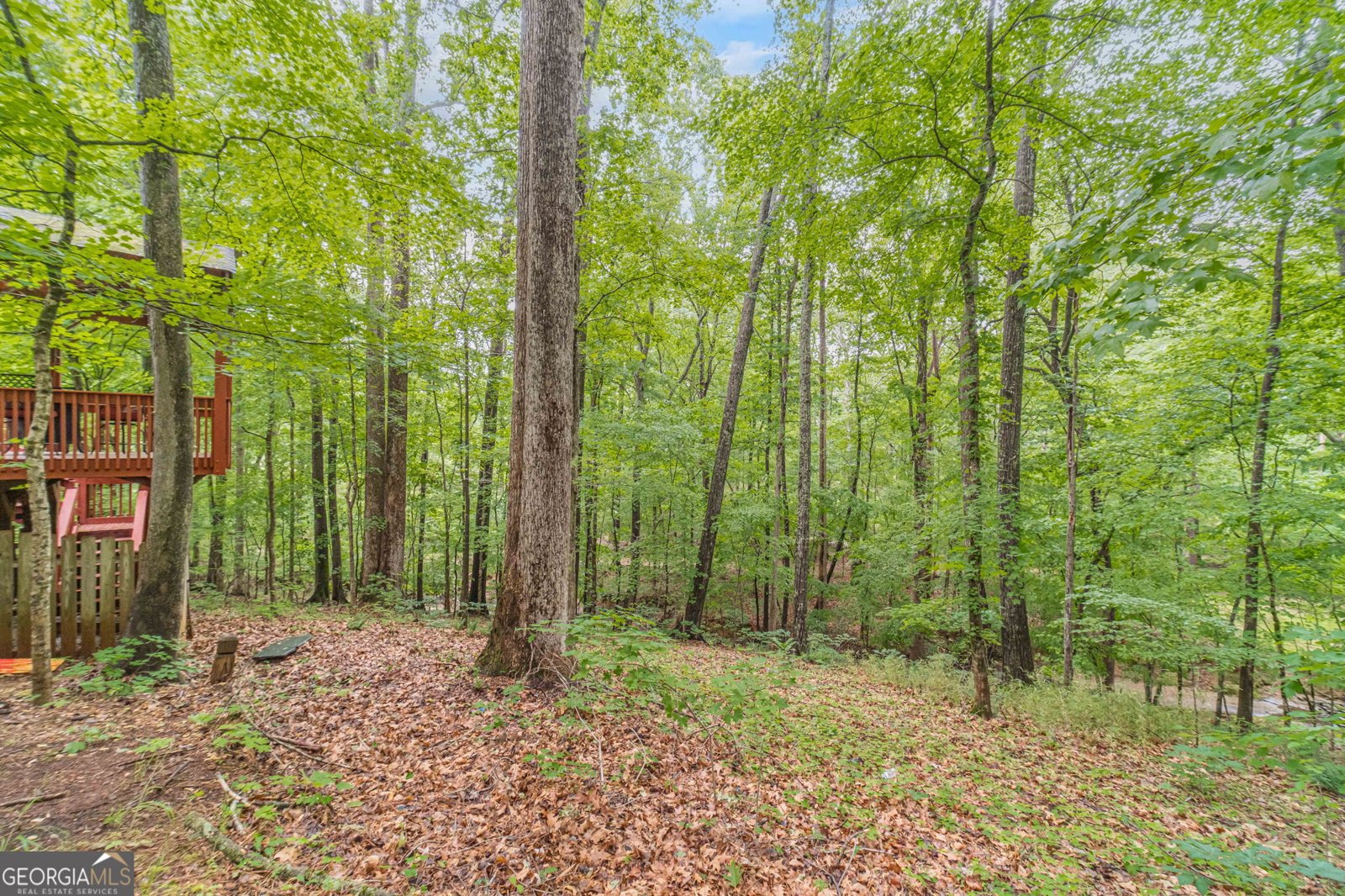 955 Clarion Way Lawrenceville - Photo 58