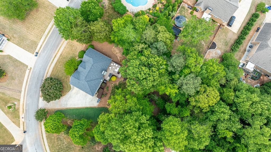 8225 Mossybrook Lane Douglasville - Photo 59