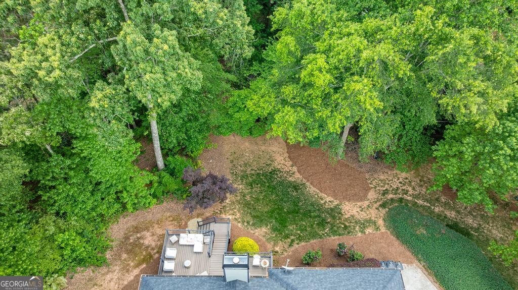 8225 Mossybrook Lane Douglasville - Photo 62
