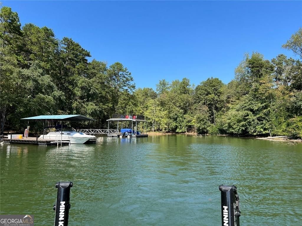 1056 Overlook Drive Dawsonville - Photo 33