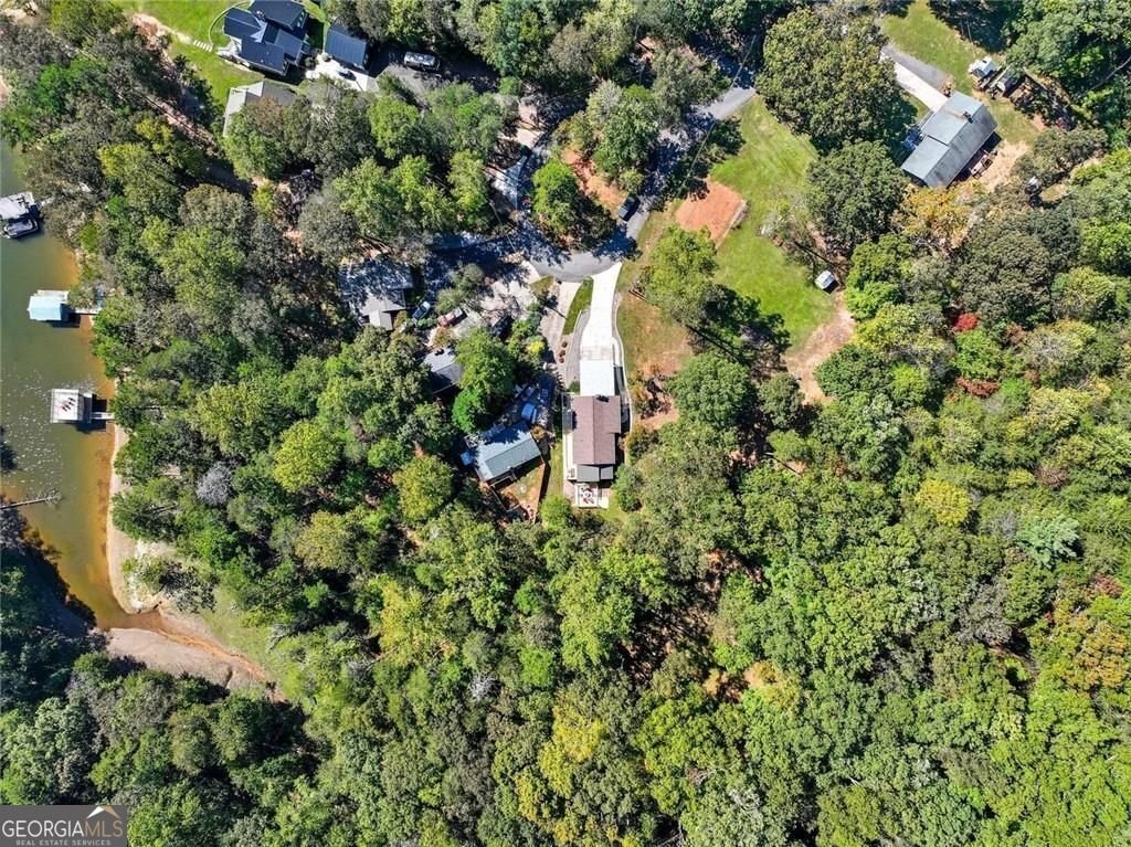 1056 Overlook Drive Dawsonville - Photo 41