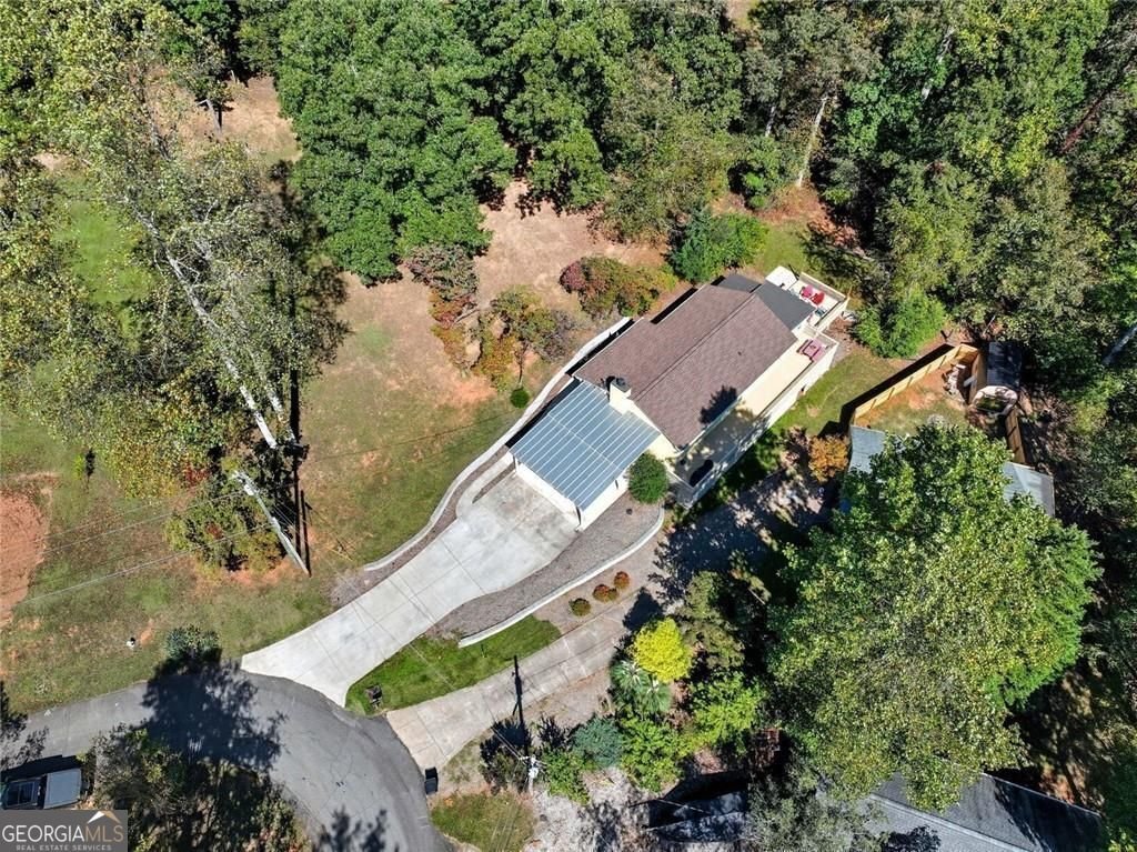 1056 Overlook Drive Dawsonville - Photo 42