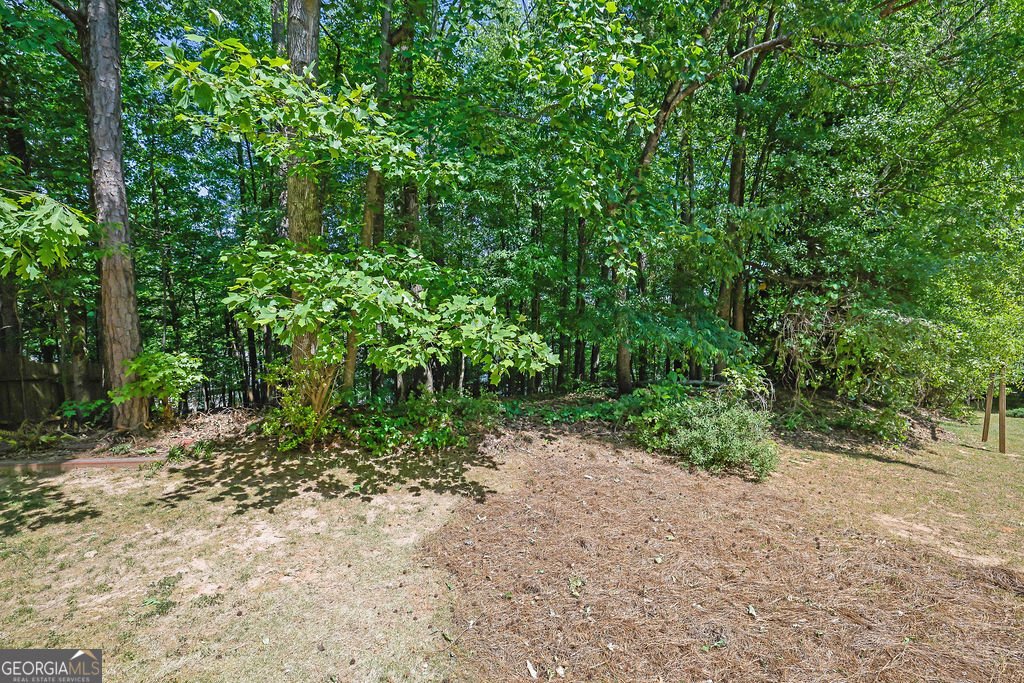 2555 Summit Cove Drive Duluth - Photo 42