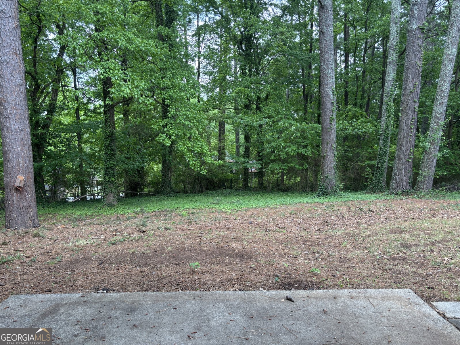 2804 Jim Owens Road Kennesaw - Photo 23