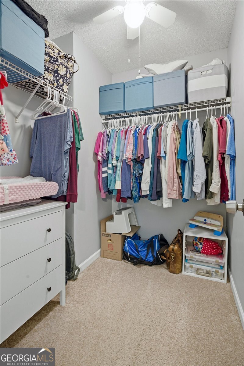 170 Sherrells Ford Drive Senoia - Photo 30