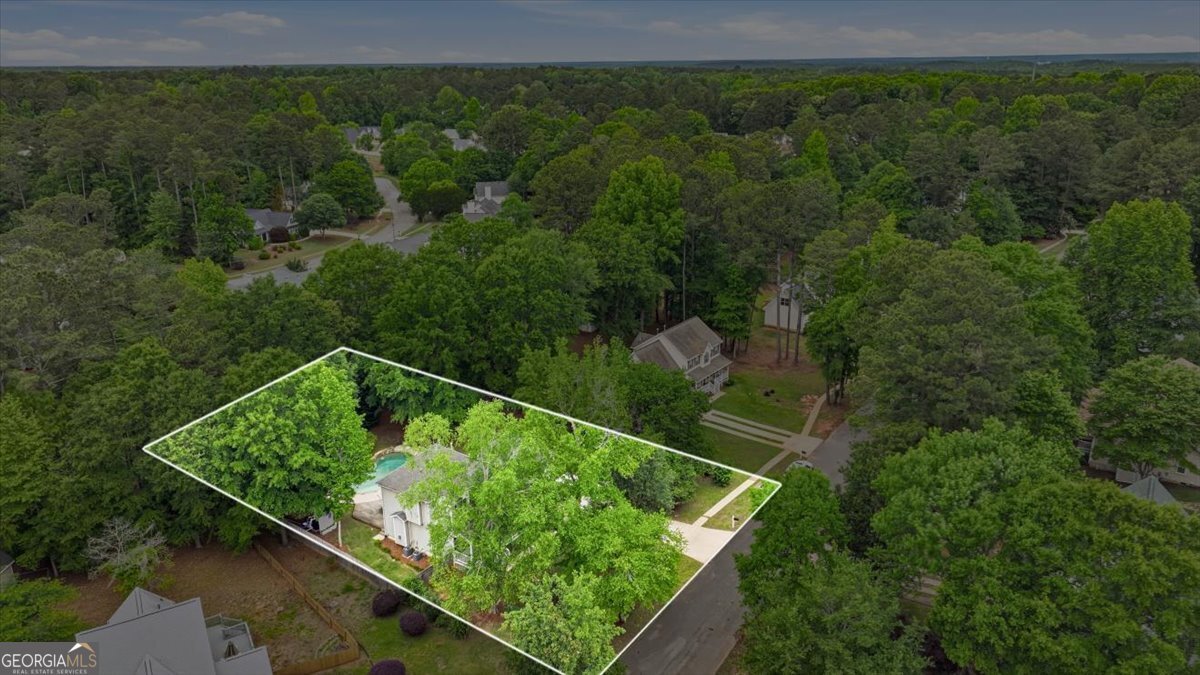 170 Sherrells Ford Drive Senoia - Photo 48