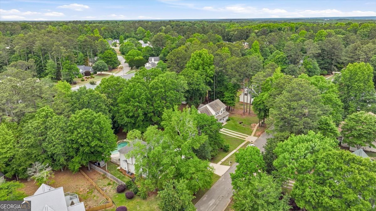 170 Sherrells Ford Drive Senoia - Photo 49