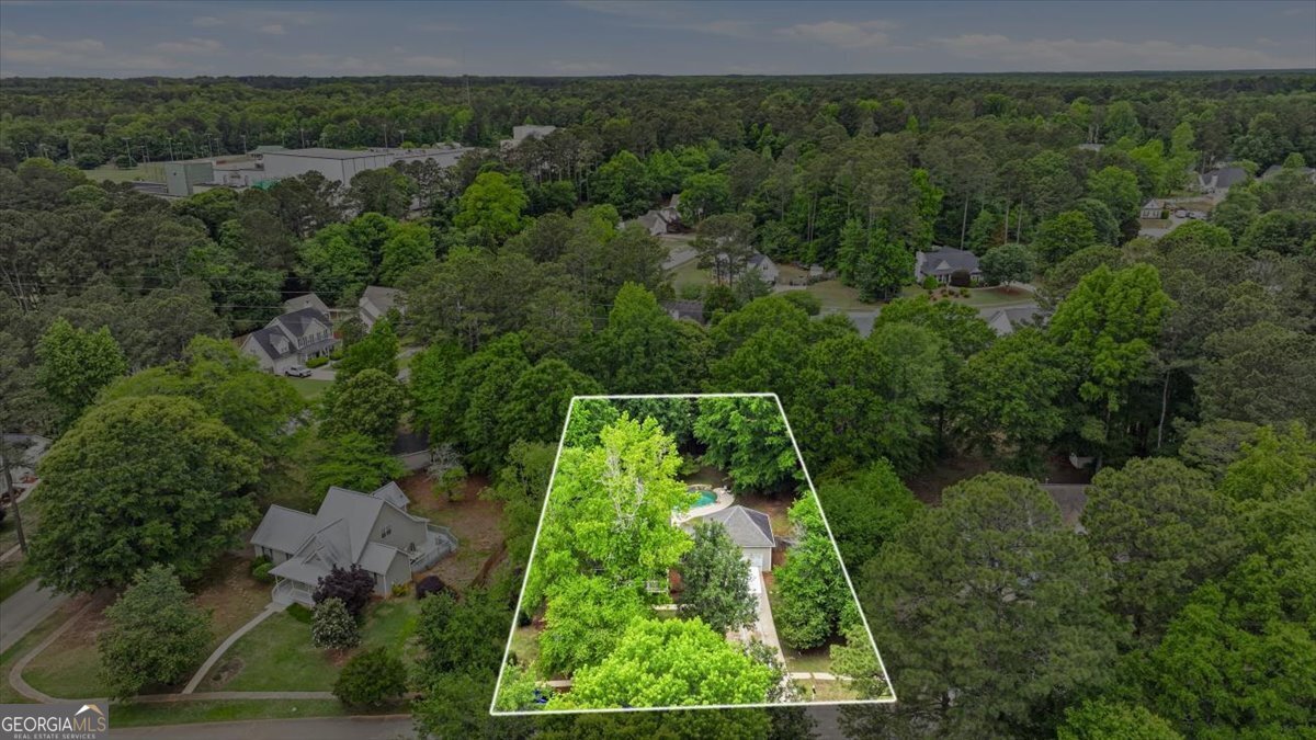 170 Sherrells Ford Drive Senoia - Photo 50