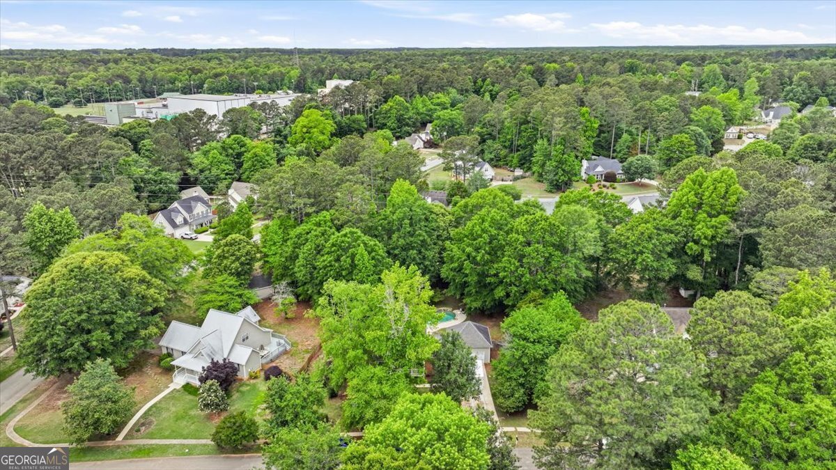 170 Sherrells Ford Drive Senoia - Photo 51