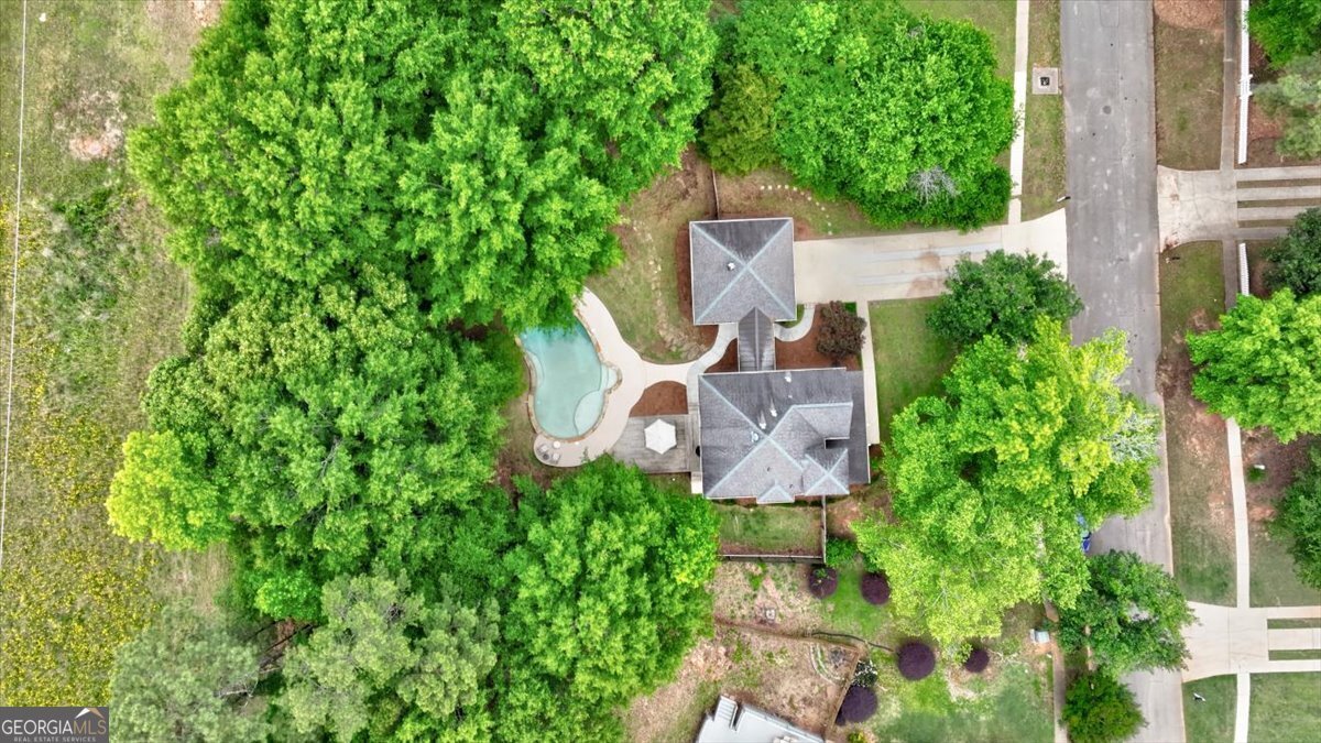 170 Sherrells Ford Drive Senoia - Photo 53