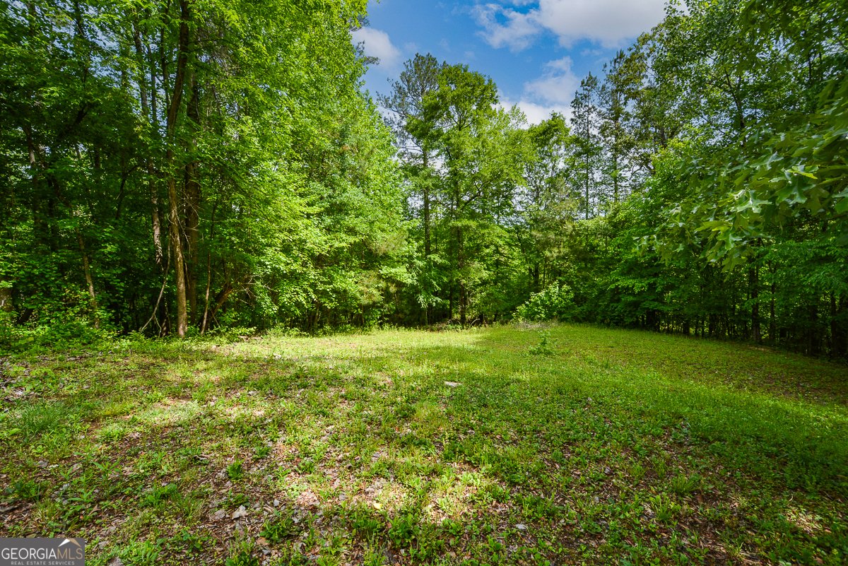 810 Hampton Court Woodstock - Photo 40