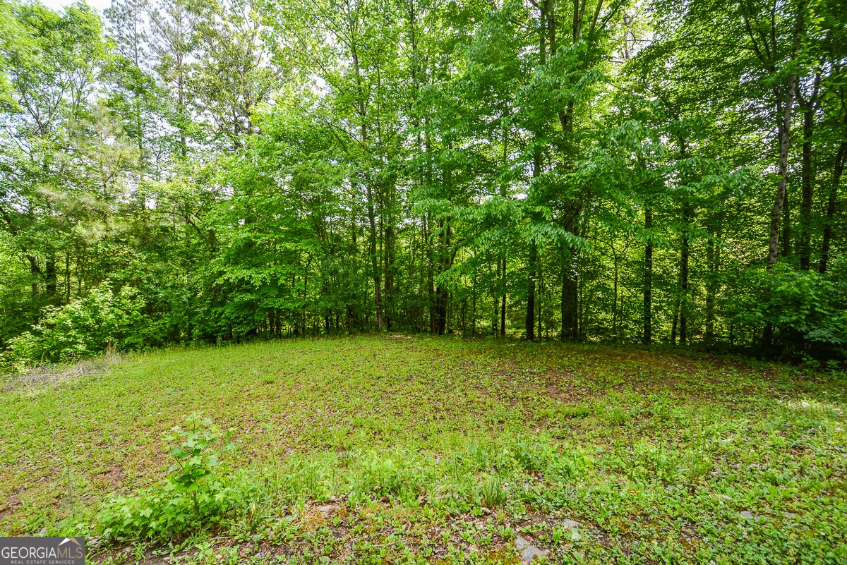 810 Hampton Court Woodstock - Photo 41