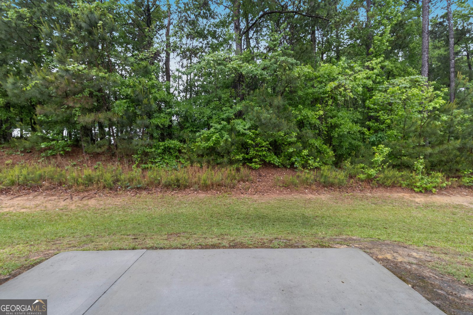7210 Ashley Falls Court Douglasville - Photo 14