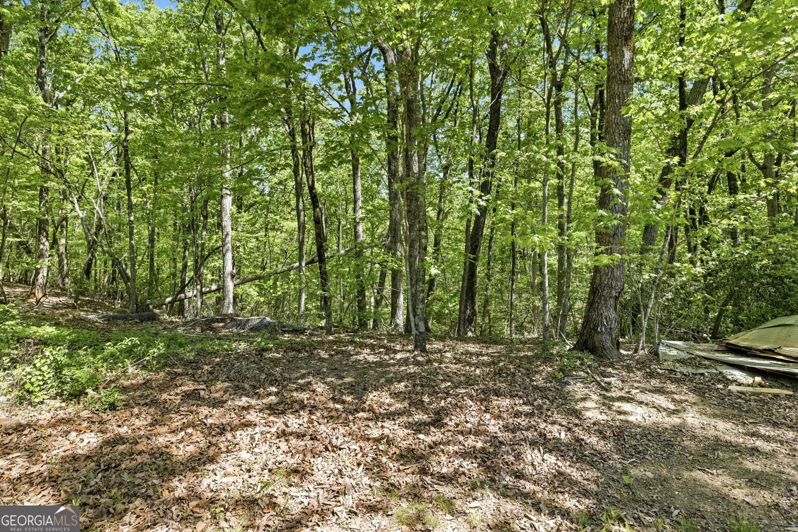 523 Mountain Ranch Road Clarkesville - Photo 29