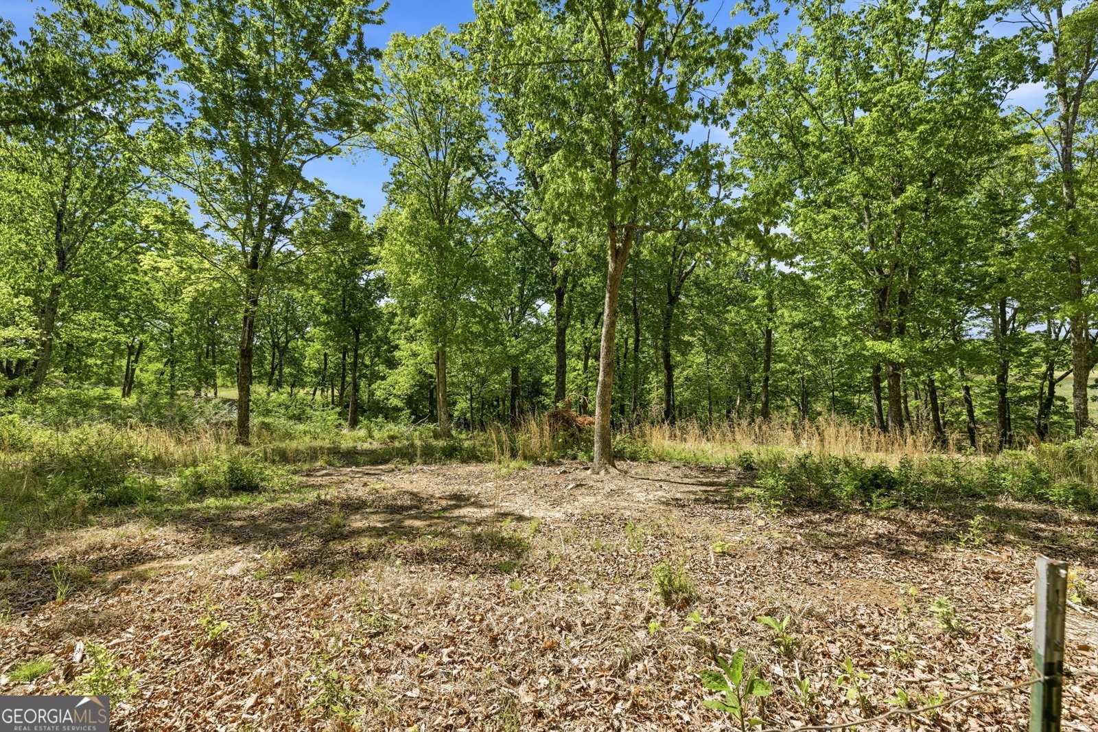 523 Mountain Ranch Road Clarkesville - Photo 30