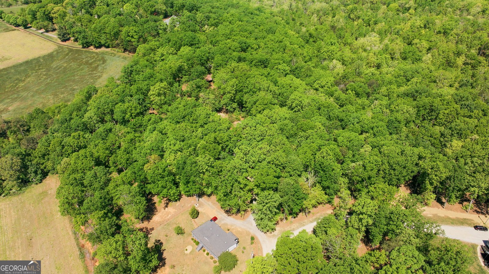 523 Mountain Ranch Road Clarkesville - Photo 39